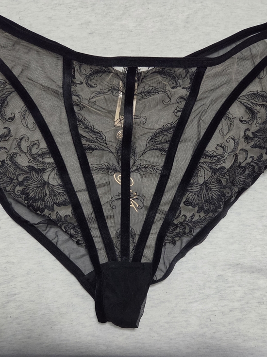 Dita Von Teese Other - Dita von Teese Nocturnelle Long Line Brief in Black: NWT